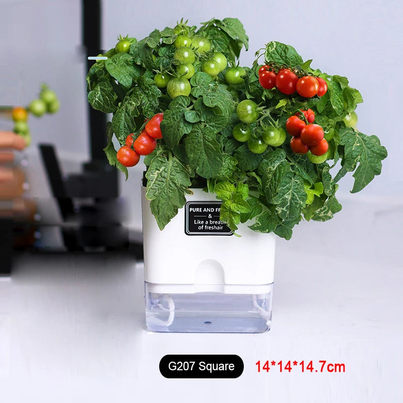 Self-Watering Double-Layer Flower Pot