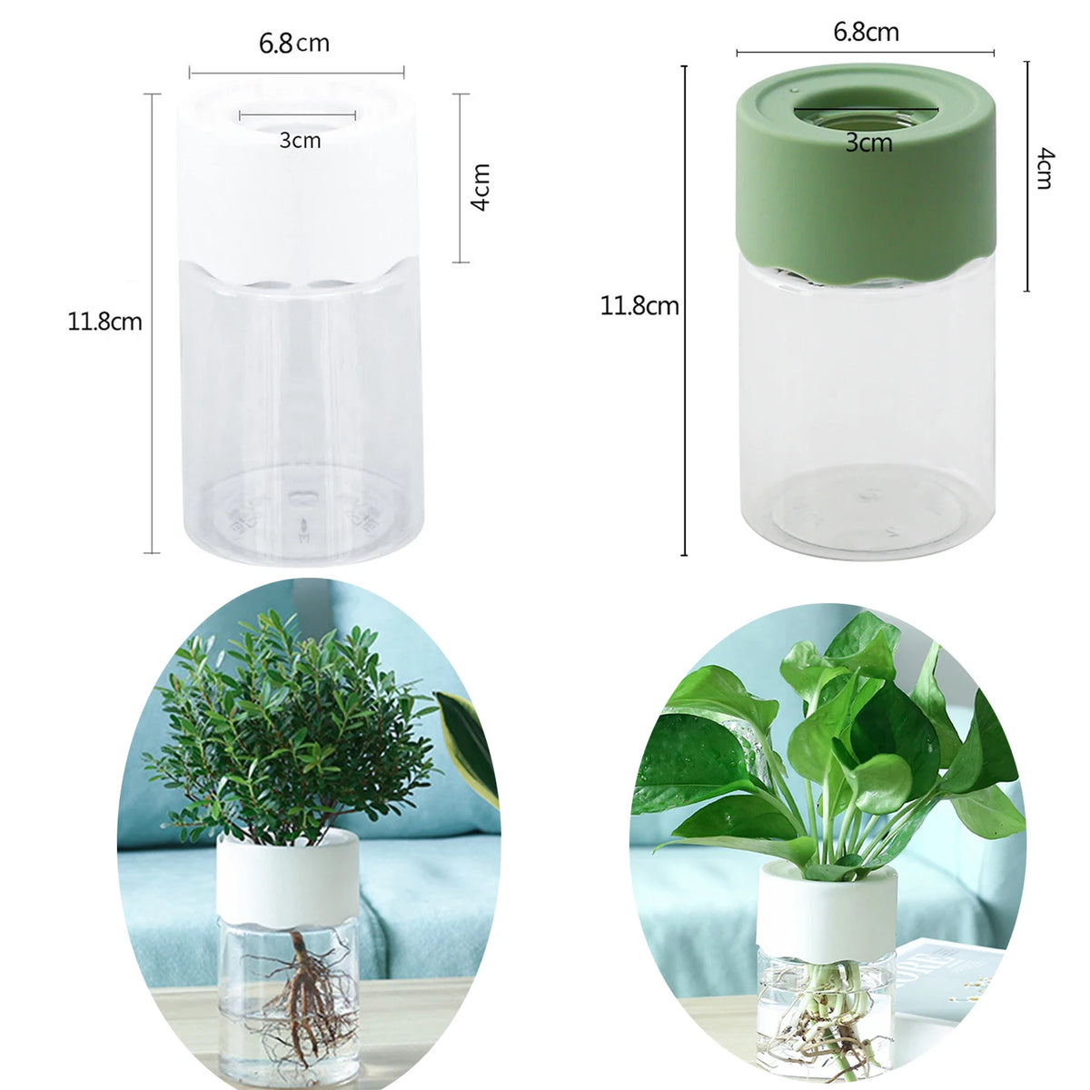 Mini Hydroponic Glass Plant Vase