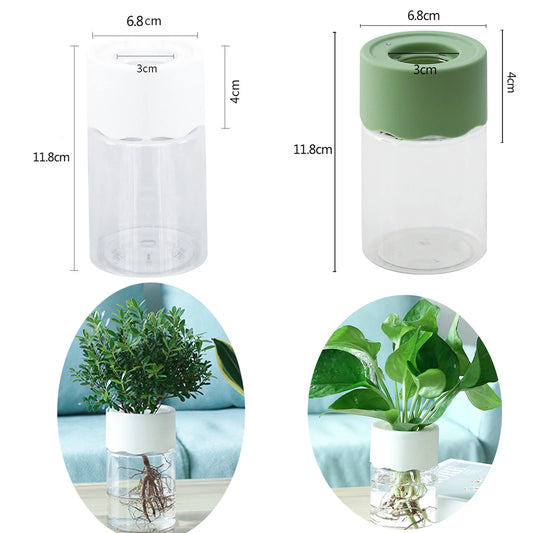 Mini Hydroponic Glass Plant Vase