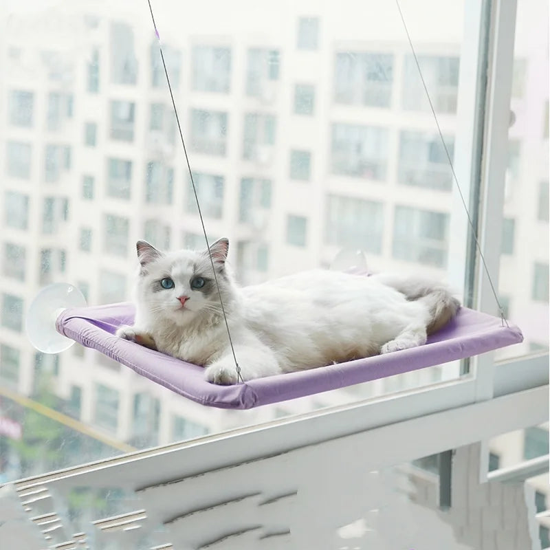 Cat Hammock Window Bed – Hanging Seat with Climbing Frame, Holds Up to 20kg