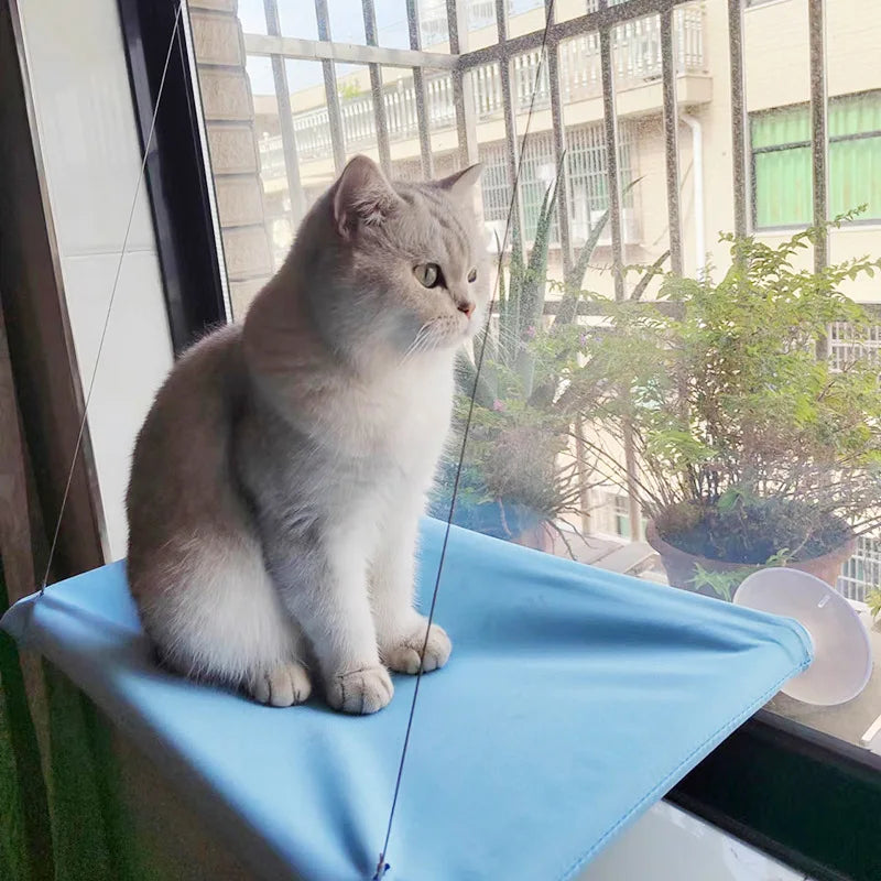 Cat Hammock Window Bed – Hanging Seat with Climbing Frame, Holds Up to 20kg