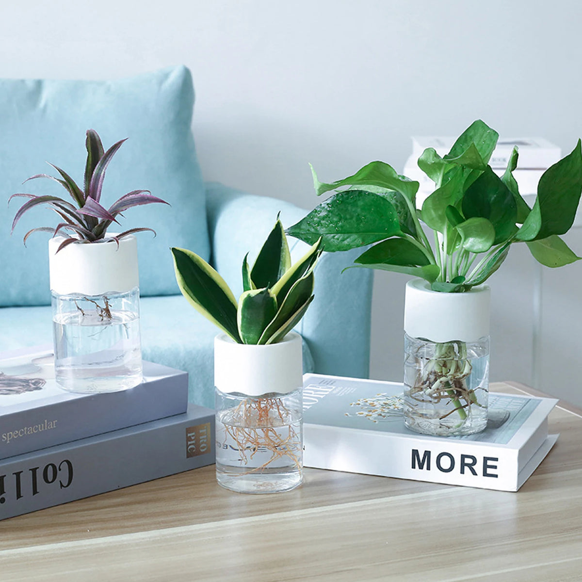 Mini Hydroponic Glass Plant Vase