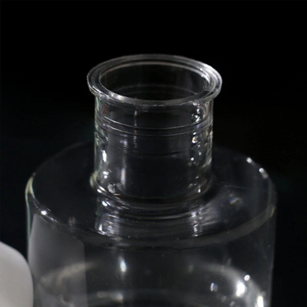 Mini Hydroponic Glass Plant Vase