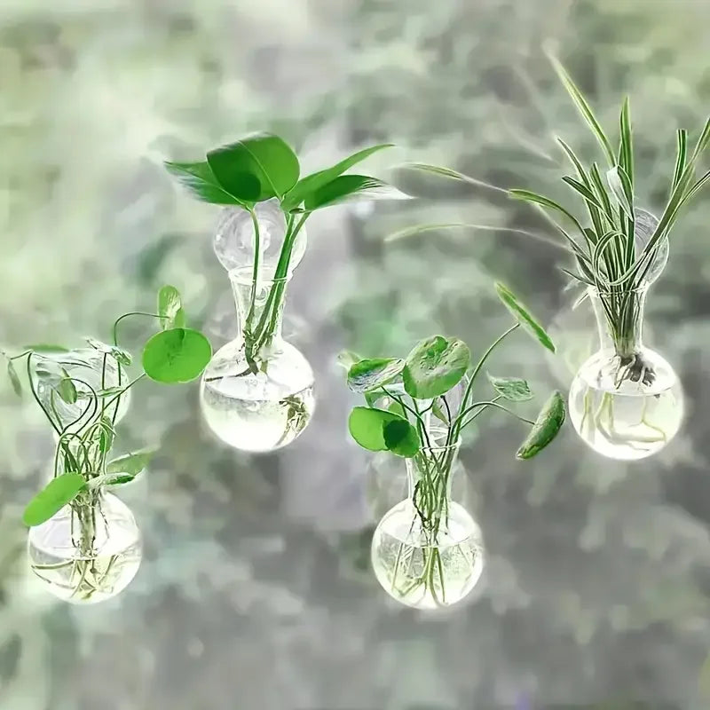 Half-Moon Wall-Mounted Glass Vase & Mini Fish Bowl