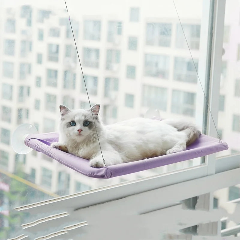 Cat Hammock Window Bed – Hanging Seat with Climbing Frame, Holds Up to 20kg