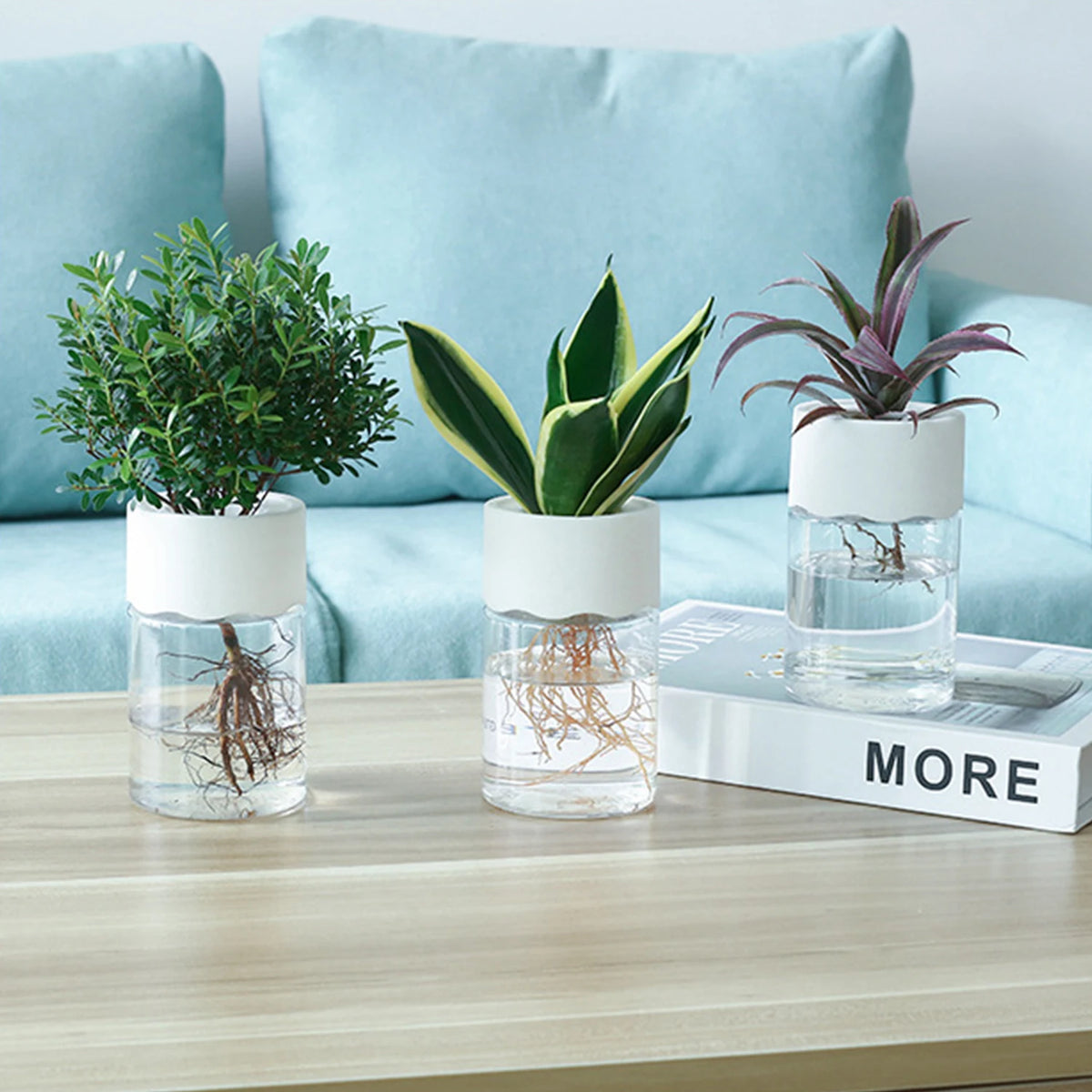 Mini Hydroponic Glass Plant Vase